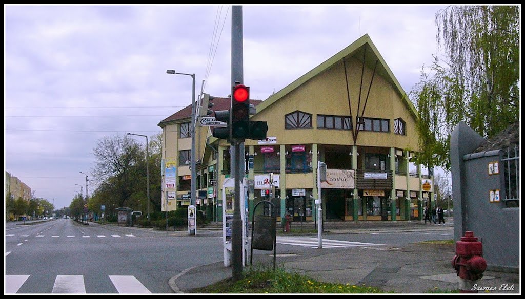 Nyíregyháza, Hungary by Szemes Elek