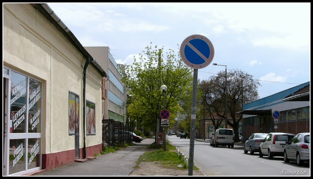 Nyíregyháza, Hungary by Szemes Elek