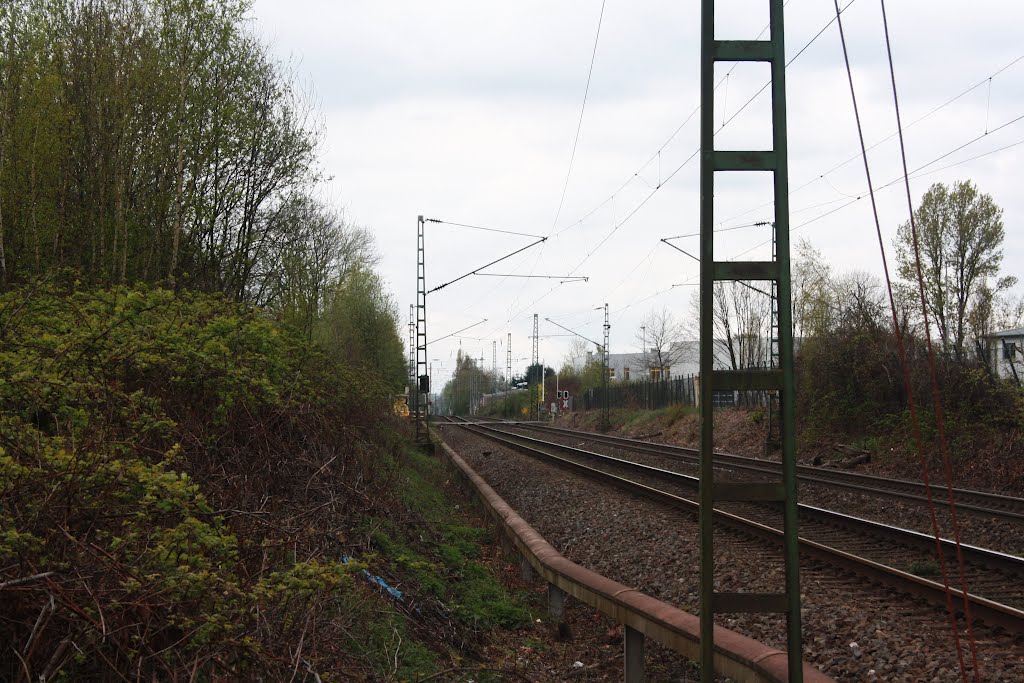 Gleise der "NOKIA-Bahn" in Richtung Bochum by Wanne-Eickeler