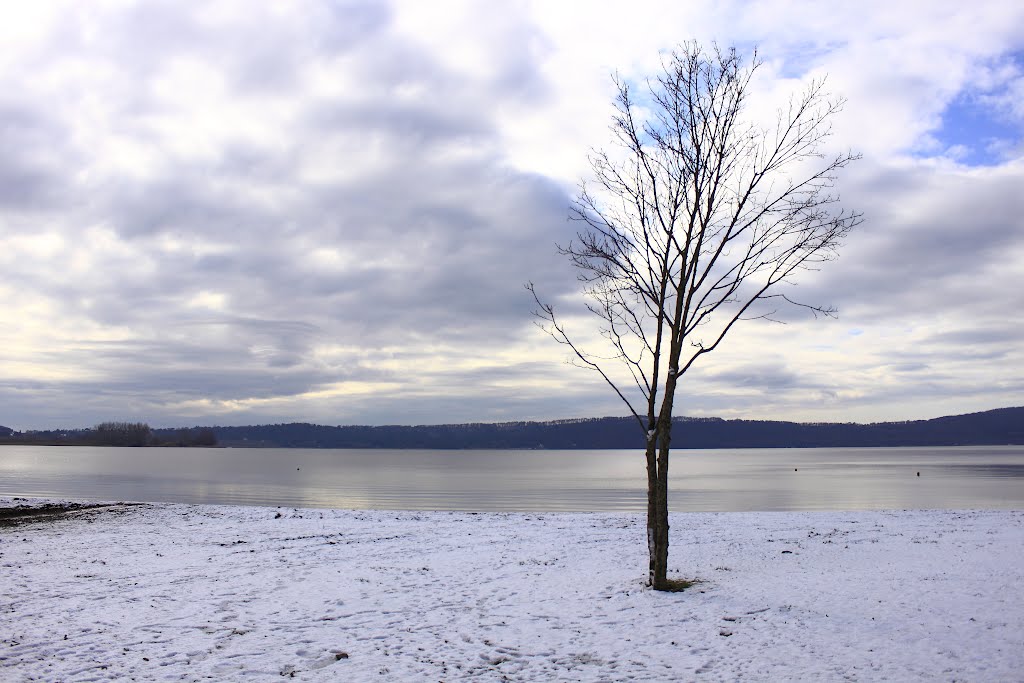 Spolverata di neve al lago di vico by Emiliano Regno