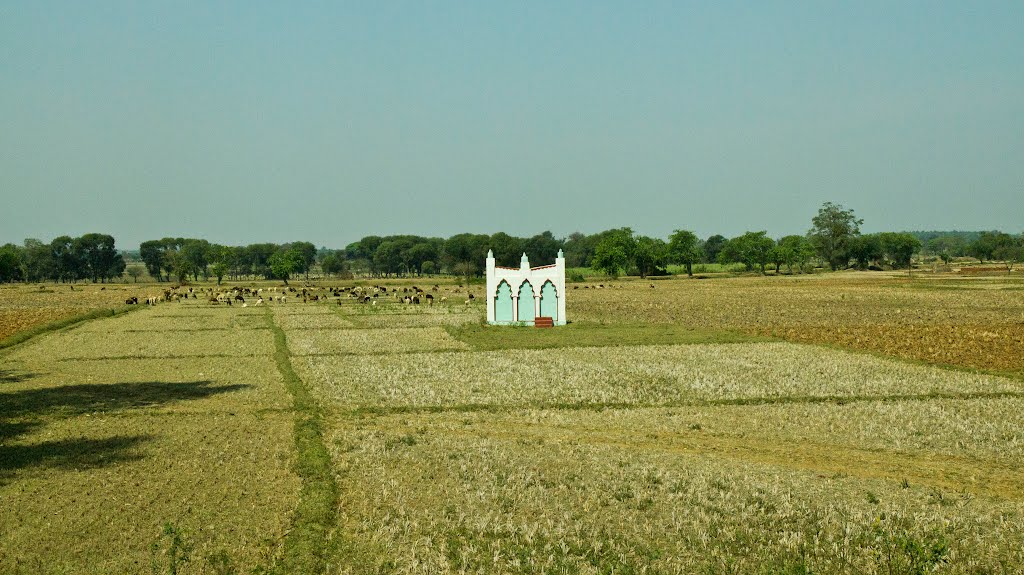 Katnalhantha, Karnataka, India by R Karner