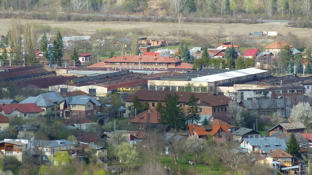 Poiana Câmpina, Romania by mircea0509