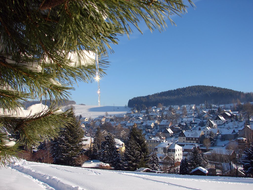 Winter in Beierfeld . Untere Viehtrift by Fantasy-Cat