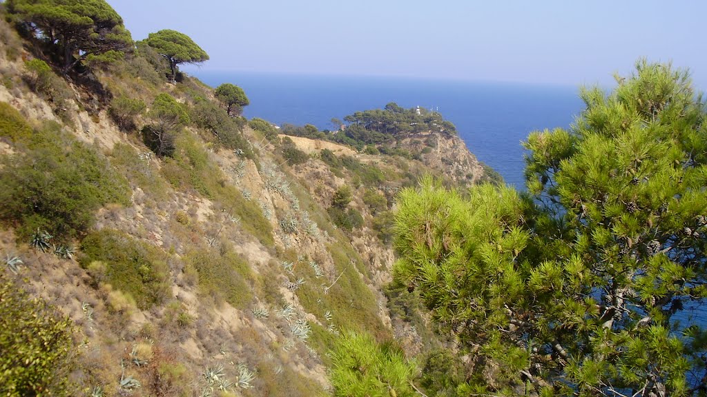 Part de paisatge que es veu des del camí de ronda tram: Es Colador a Es Cards (Tossa de Mar)-Costa Brava by klimmanet