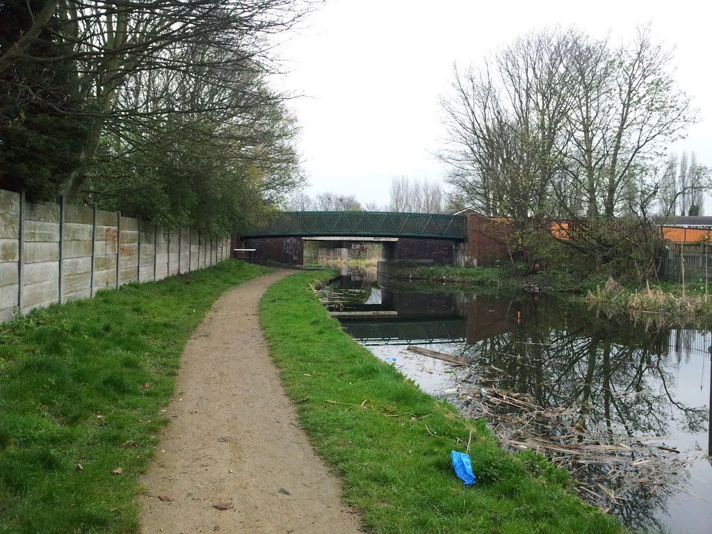 Goscote Works Bridge Wyrley & Essington Canal by quercusia