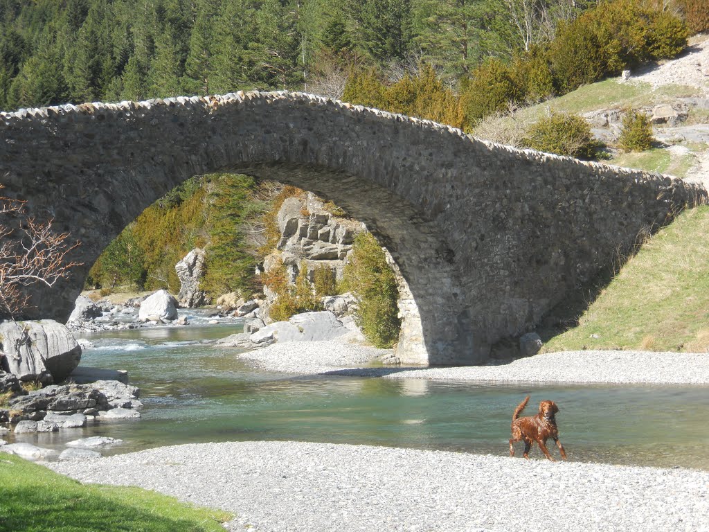 Pont a Bujaruelo, Ordesa by Jordi Nadal