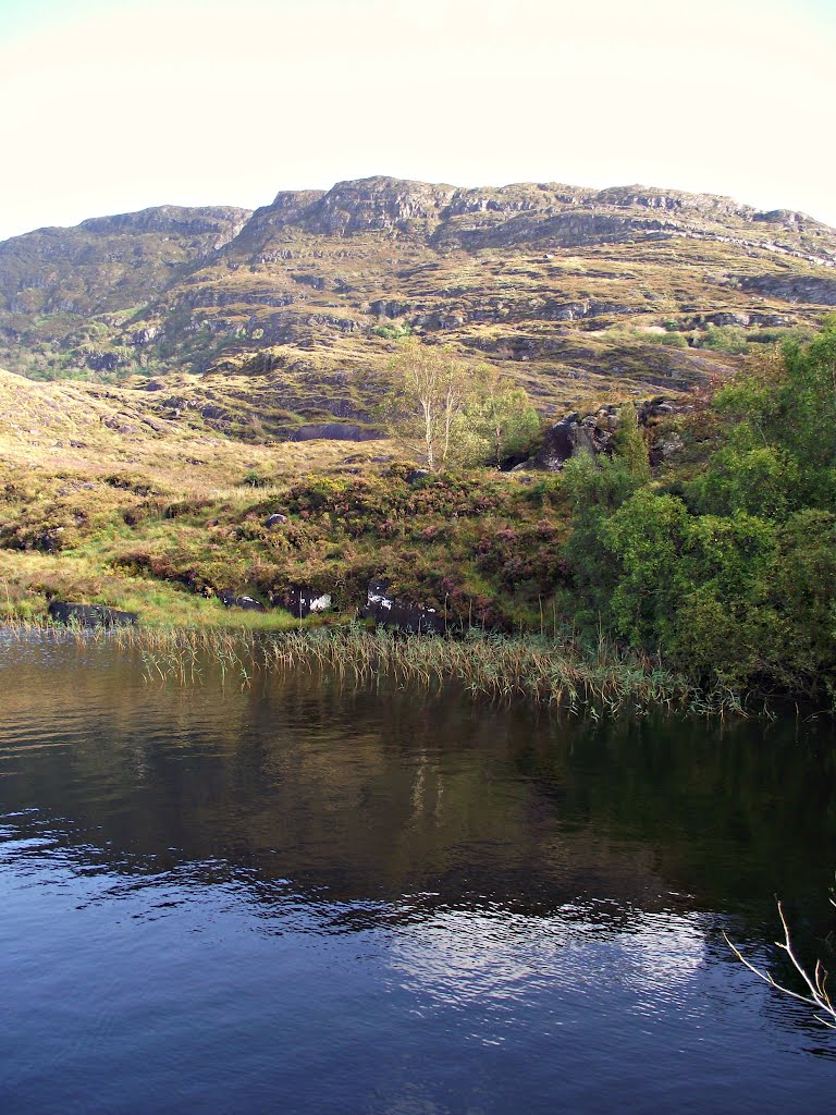 Ireland,Killarney National park-Muckross Lake by Edina Papp