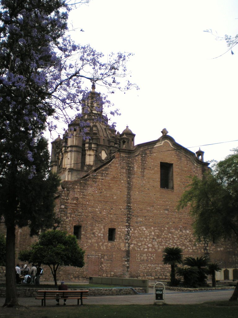 Vista trasera Catedral Cordoba by Pedro Pinon