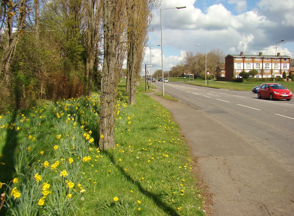 Springtime scene looking along Greenhill Parkway, Sheffield S8 by sixxsix