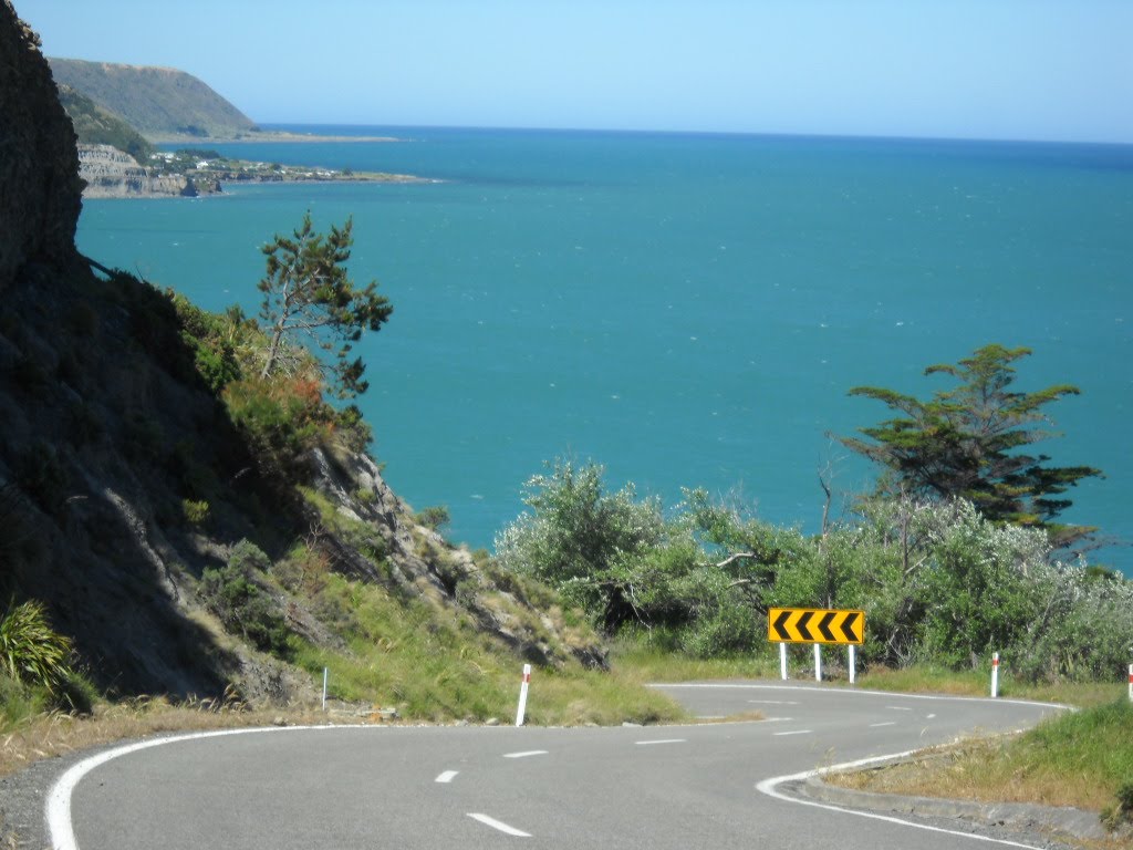 Cape Palliser Road by Hans Pollak