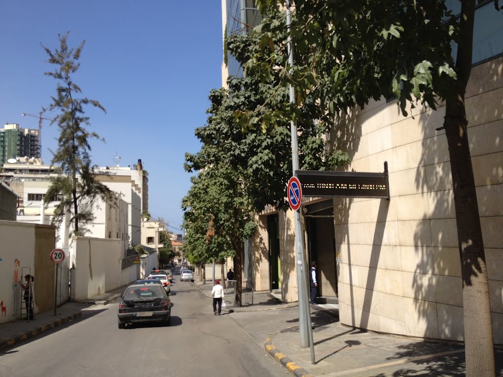 Beydoun family in beirut by salim beydoun