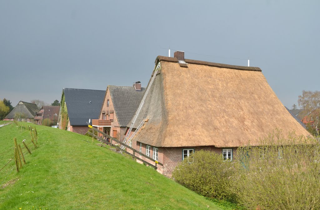 Am Deich in Haseldorf-Scholenfleth by Juliane Herrmann