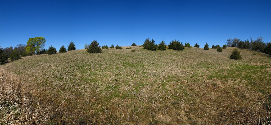 Hillside Panorama, Cedar Creek Conservation Area, Anoka County, Minnesota by © Tom Cooper