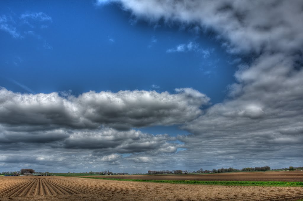 Noordwaard, Biesbosch by andorraliechtenstein