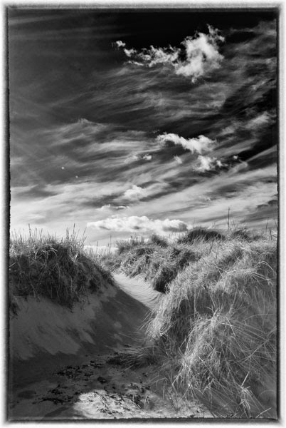 Path through the sand dunes by doctortickle