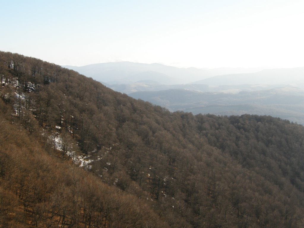 Bosques y montañas by Luís Seixas