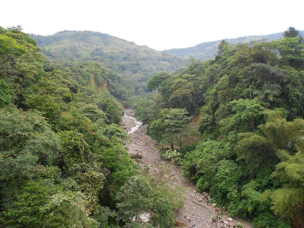 Vista general del Caño Parrado desde el nuevo puente, así quedó después de la avalancha del invierno pasado que causó tantos estragos by alejandrino tobon