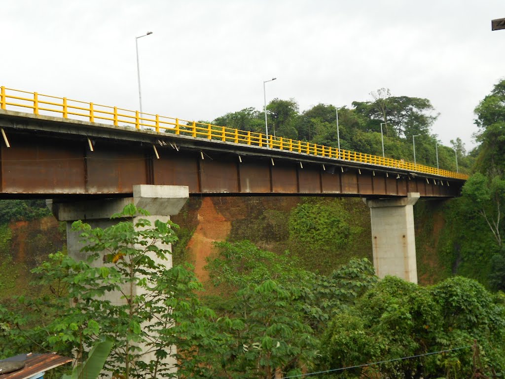 Estructura metálica del nuevo puente sobre el Caño Parrado que une los barrios Galán y La Azotea by alejandrino tobon