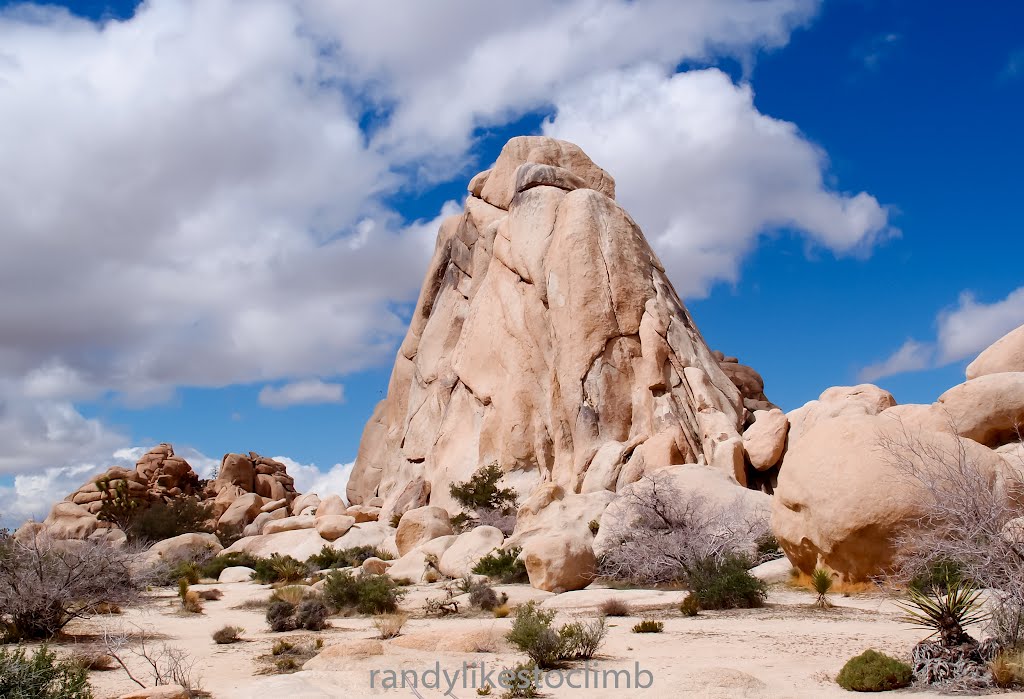 Beautiful Joshua Tree National Park by Randy T (Randylikest…