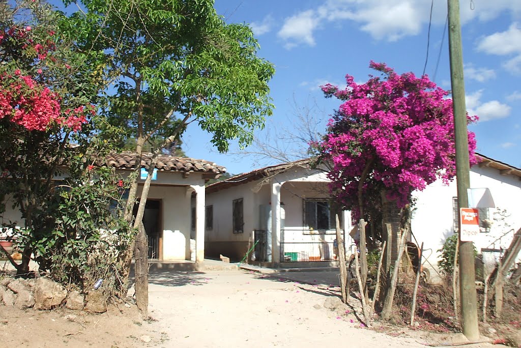 Maison fleurie, Yamaranquila, Intibuca, Honduras, Février 2009 by Christian Claveau