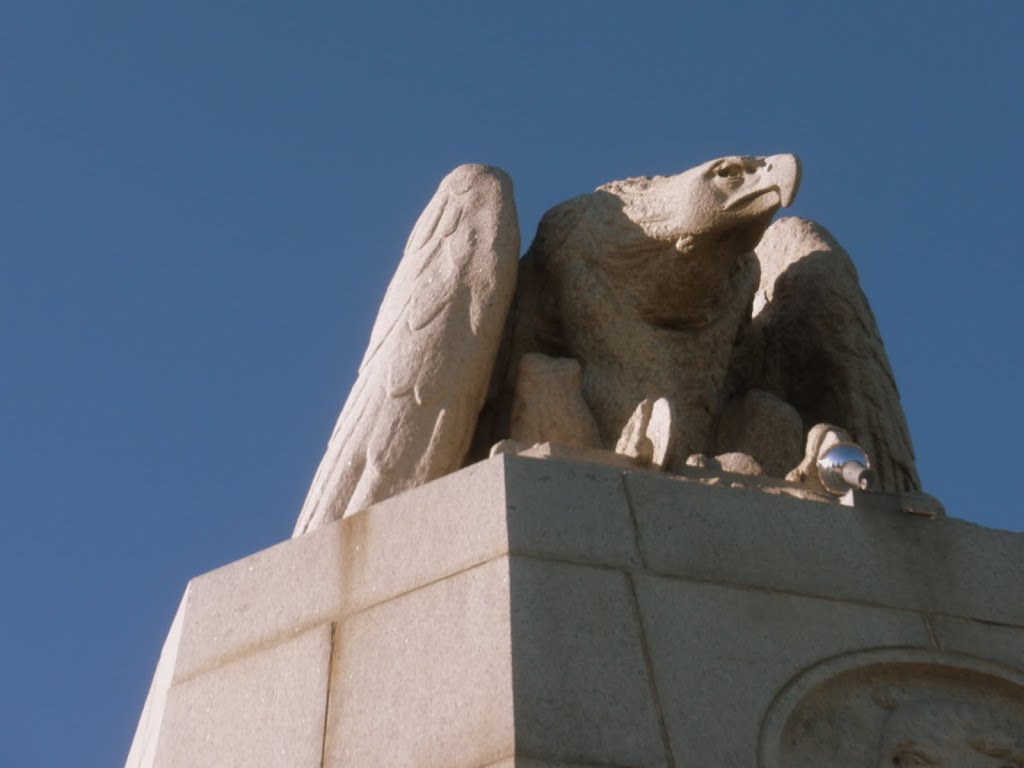 Eagle @ Presidio by Erik Wanta