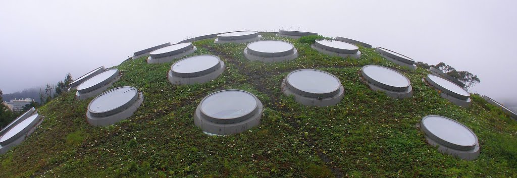 Living Roof by Erik Wanta