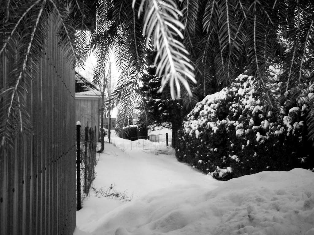 Une ruelle en hiver à Lac-Mégantic by Nathalie Lapointe