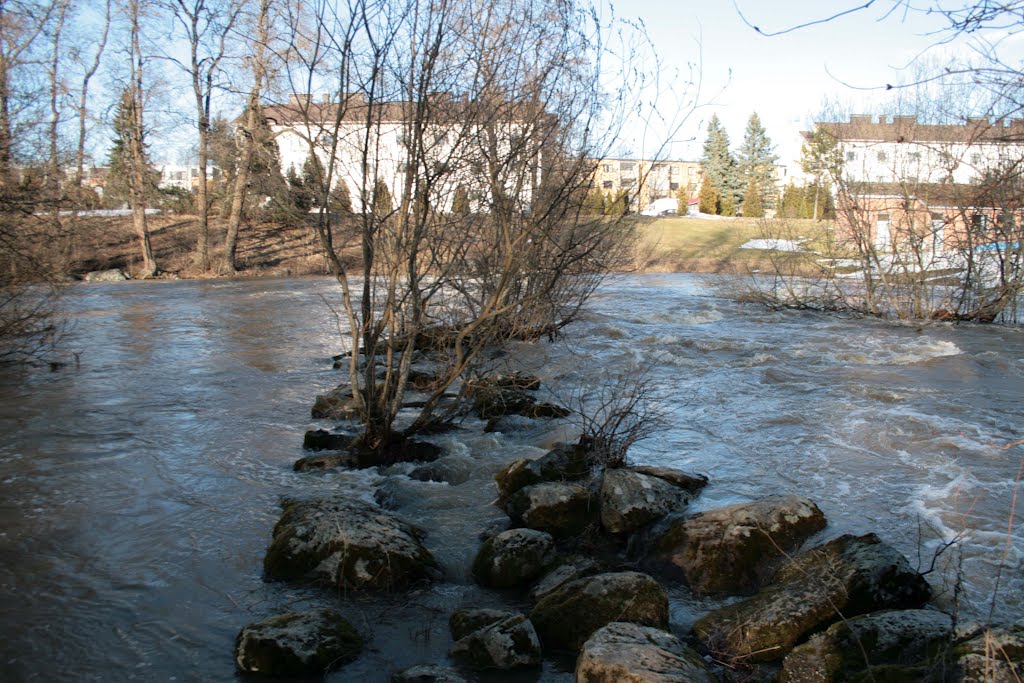 Viiala, Haihunkoski, River Tarpianjoki, Haihunkoski Rapids, Full Spring Waters, 15 April 2012 by Johanan Järvinen