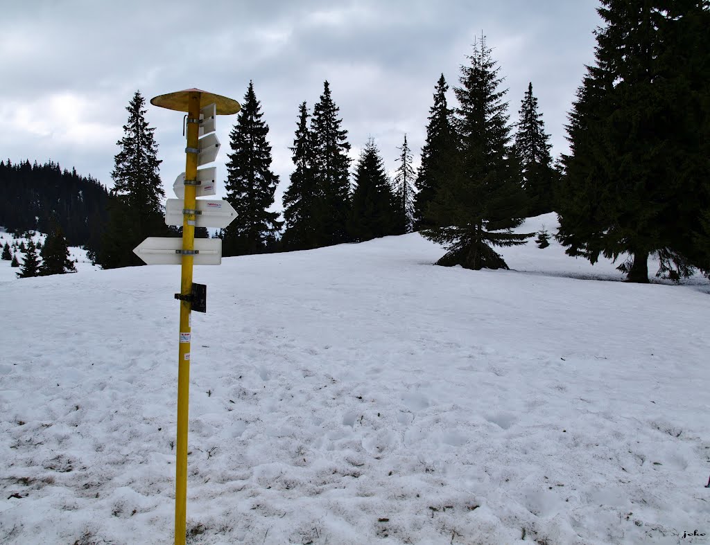 Rázcestník - Stredná Poľana 1 248 m.n.m. by < JOKO >