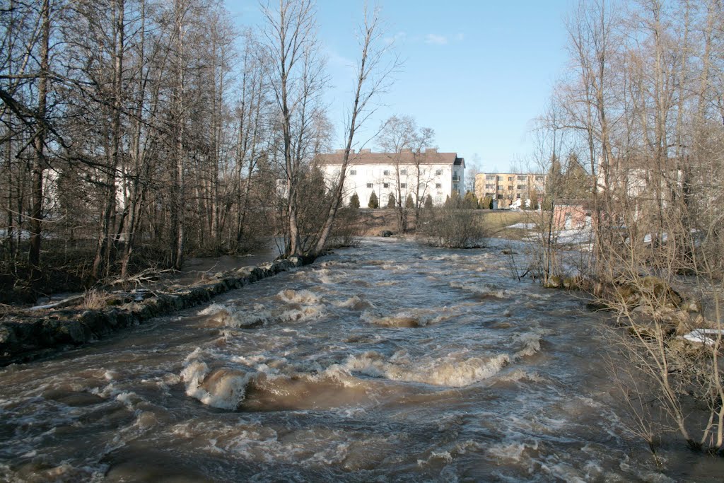 Viiala, Haihunkoski, River Tarpianjoki, Haihunkoski Rapids, Full Spring Waters, 15 April 2012 by Johanan Järvinen