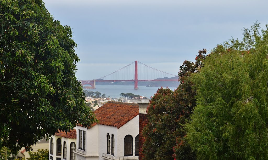 Golden Gate Views by Luke Tengs