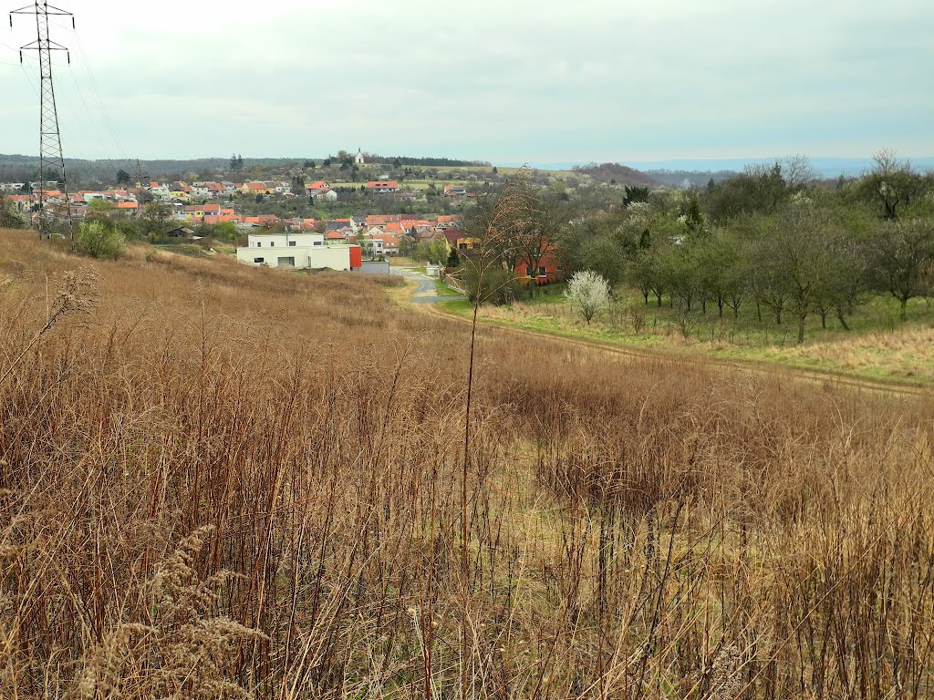 Ul. Kubelíkova, Brno-Líšeň, Czech Republic by Mí Brno