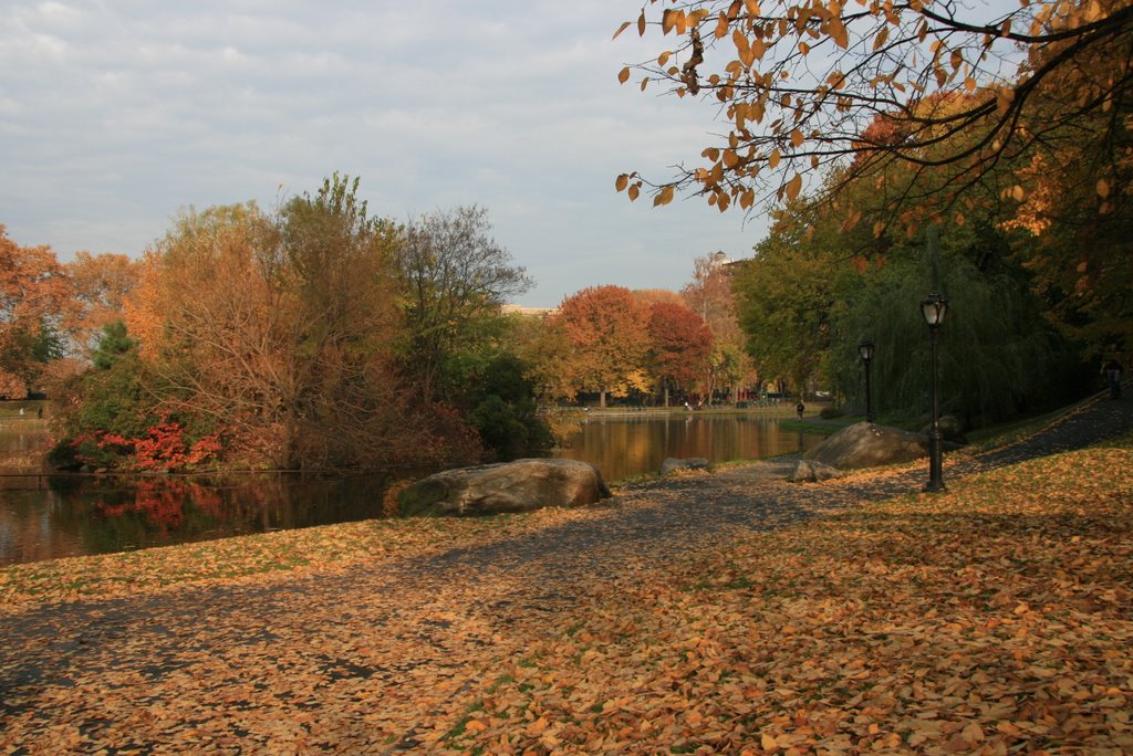 Central Park Fall(Harlem Meer) NY,USA by ny_susan520