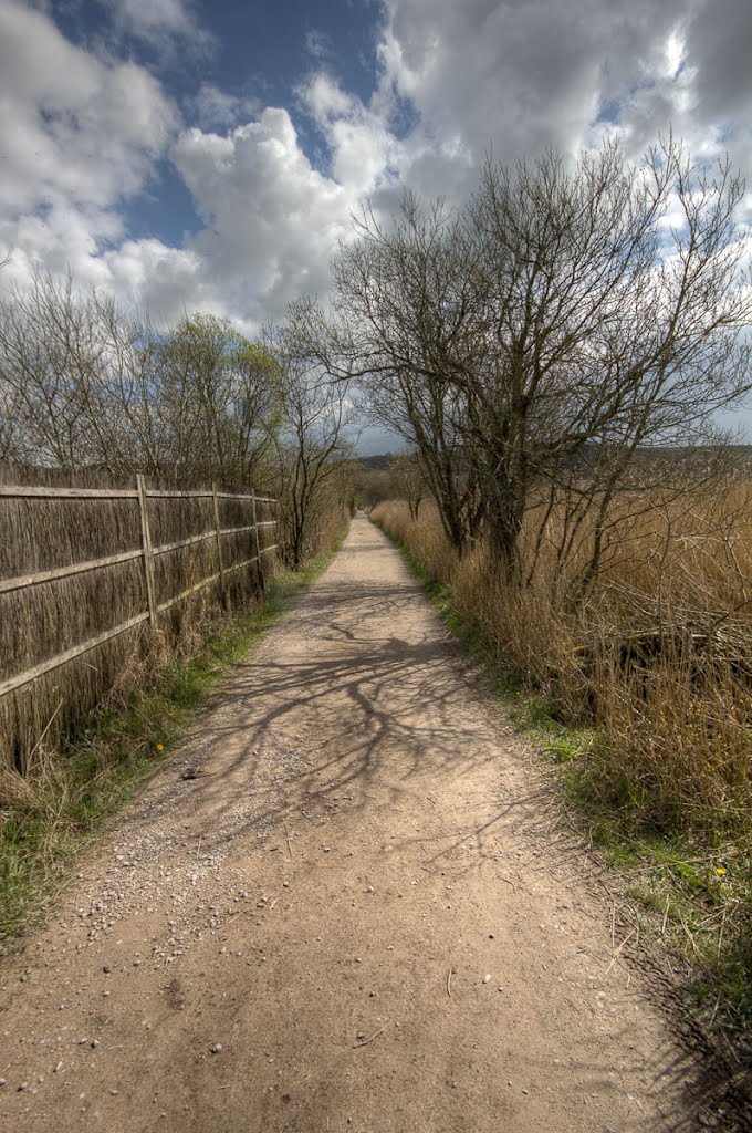 Leighton Moss by Alifink