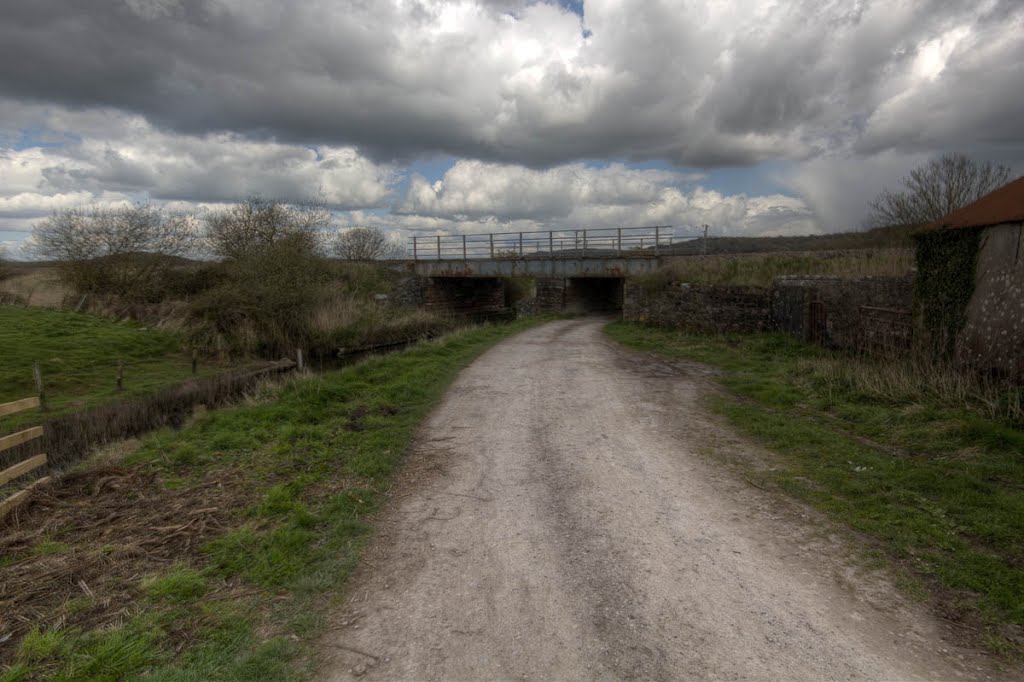 Leighton Moss Nature Reserve by Alifink