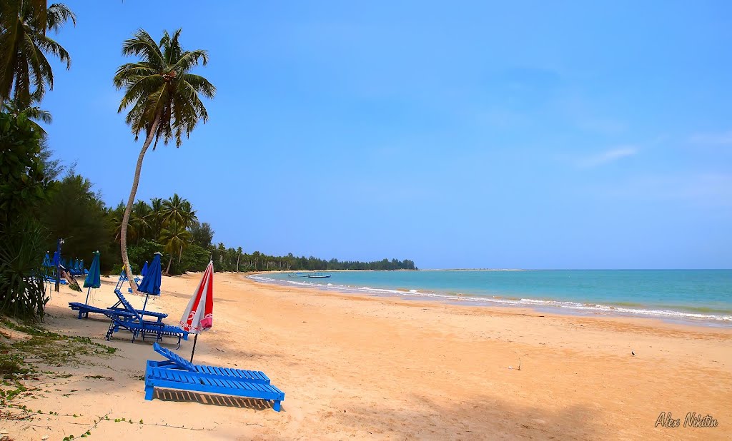 Coconut beach by Alex Nikitin