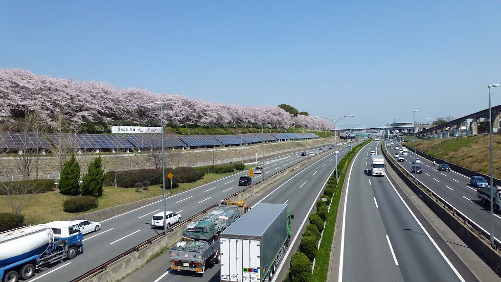 2012.4.12 桜とソーラーパネルと中国自動車道（東向き） by H.Katayama