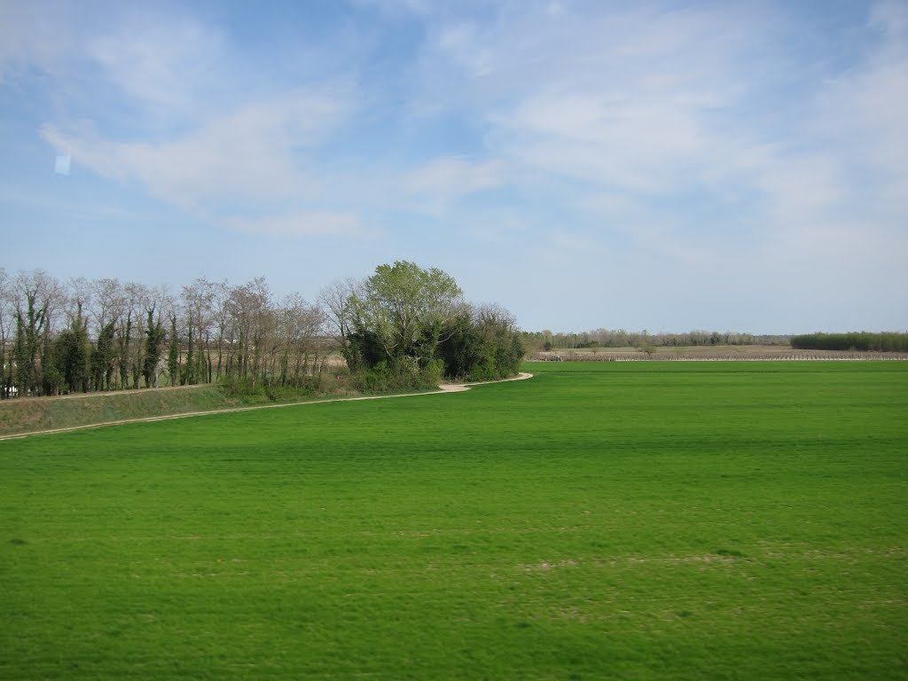 31025 Santa Lucia di Piave, Province of Treviso, Italy by stephenpoon@italy