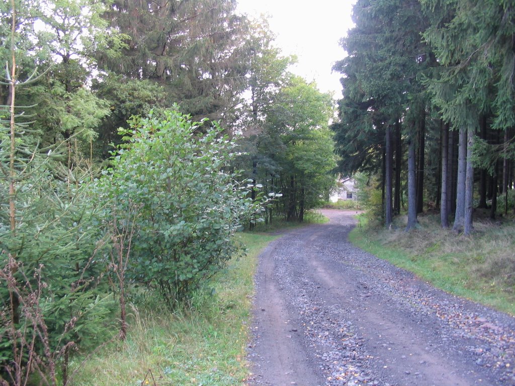 Leinagrund bei Finsterbergen by hokri