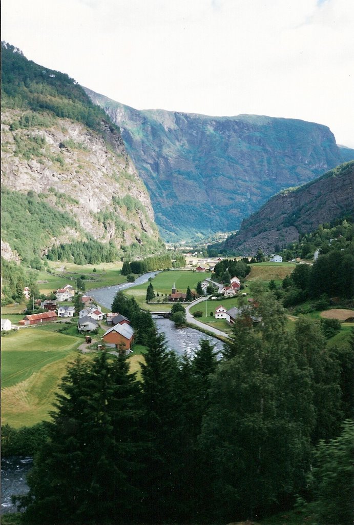 Berkvam-Vista desde el tren de Flam by juliser