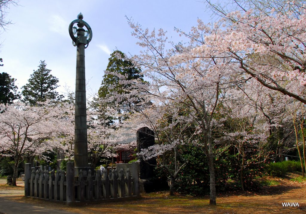 Sairenji temple, 西蓮寺の桜 (行方市) 相輪橖は、元冦（弘安の役）の戦勝を記念して、弘安１０年（１２８７）に建立したもの by Wa Wa