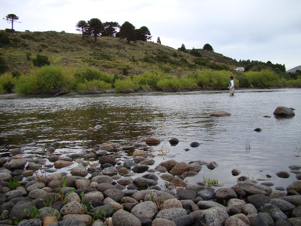 Huiliches Department, Neuquen, Argentina by laura dobree