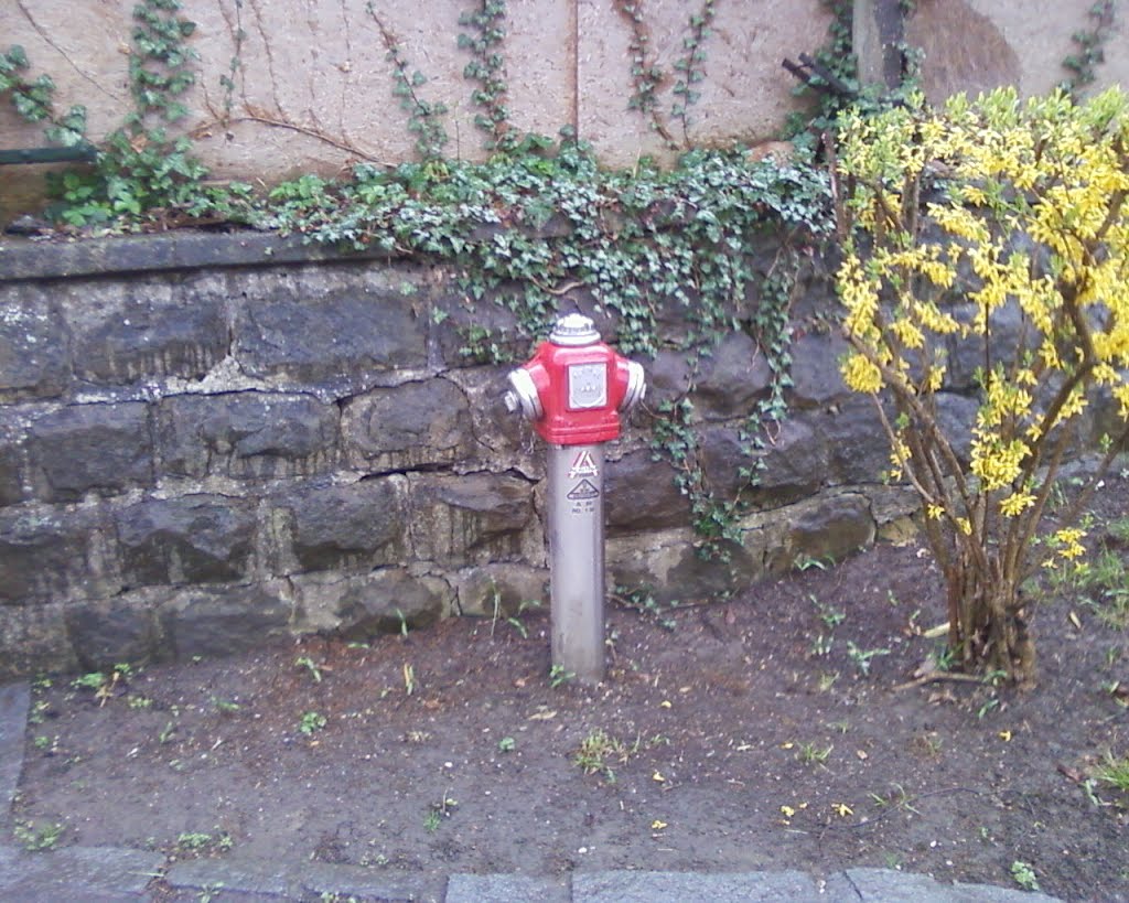 Hydrant by w. urbanek