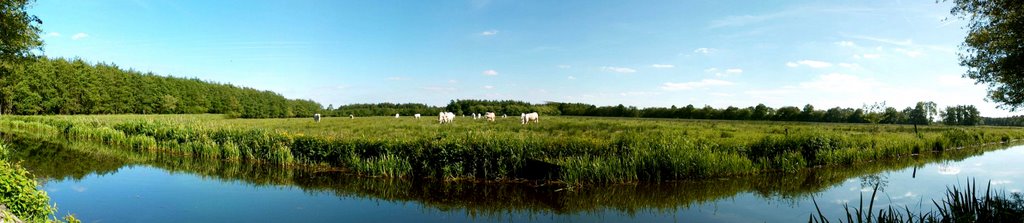 Koningsdiep 180 degree panorama by rolandluthi