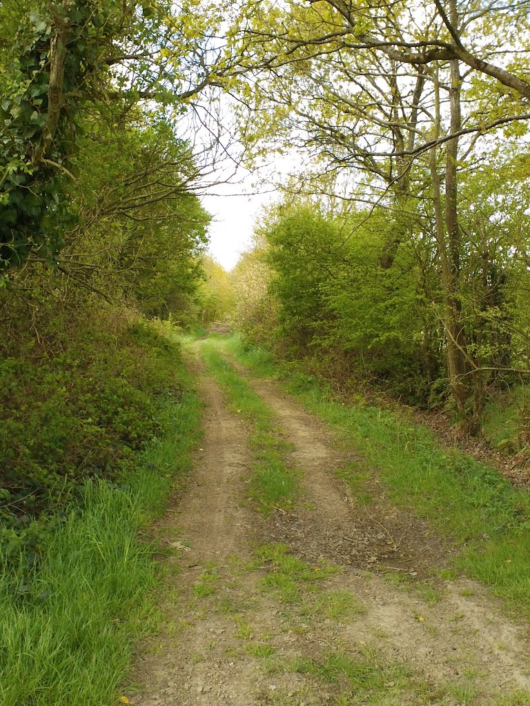 Chemin de la butte à Brossaud by M.O.I