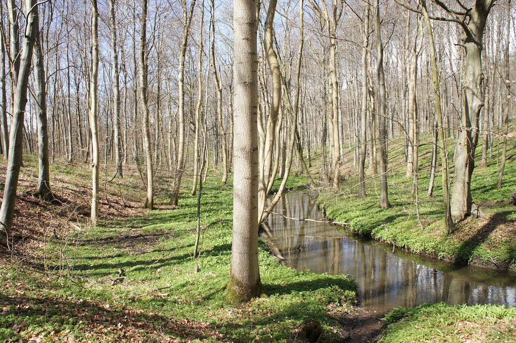 Aabenraa, 16. april 2012 by Papkassen save panor…