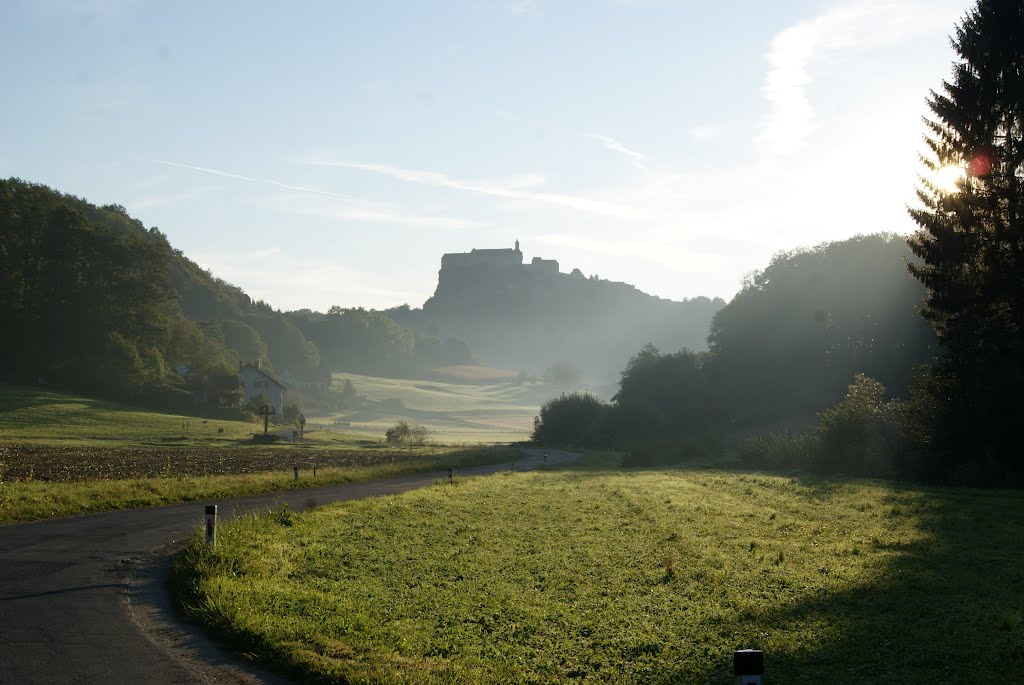 Die Riegersburg by Belgier