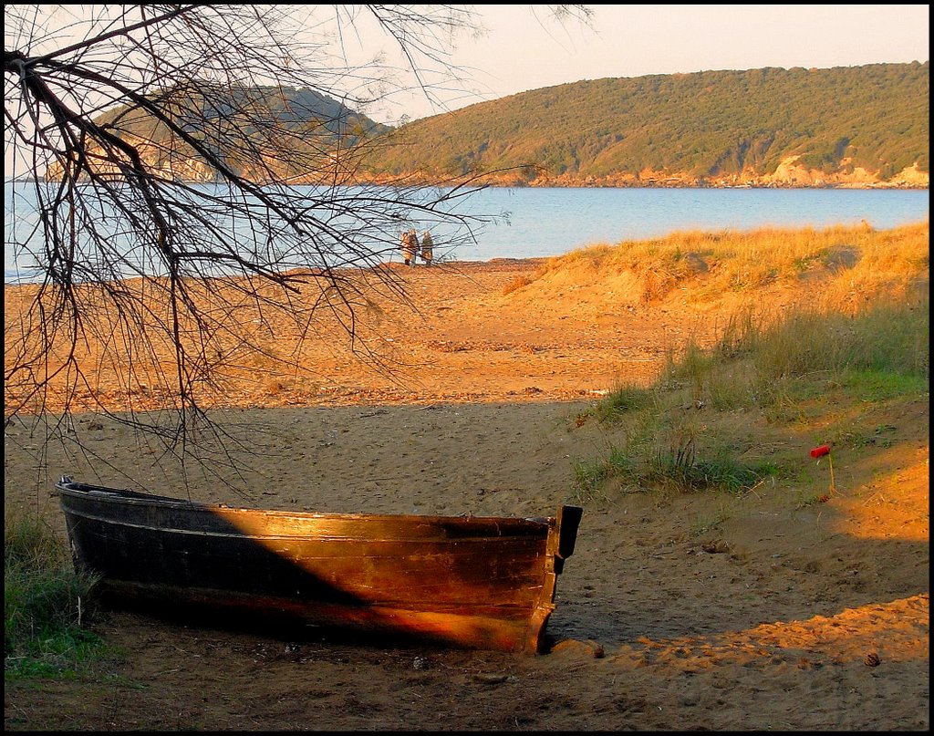 The boat Baratti...© by leo1383 by leo1383