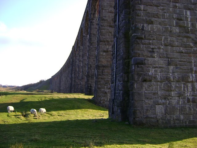 Ribblehead Viaduct by George C1