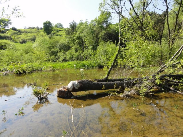 090 02 Kružlová, Slovakia by Berda